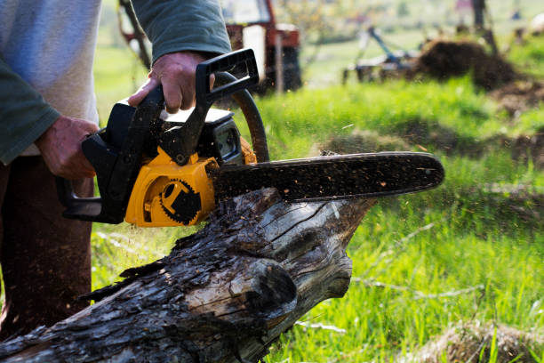 Best Aeration Services  in Hines, OR